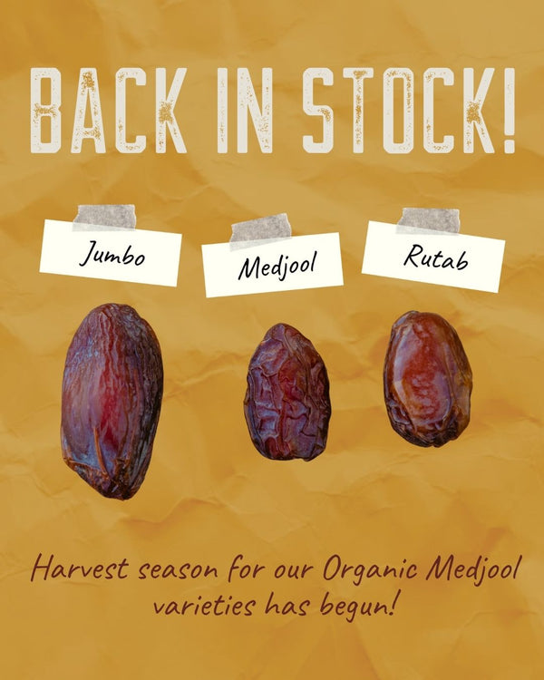 JUMBO MEDJOOL DATES ARE BACK IN STOCK! 🙌