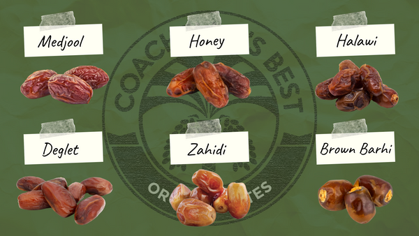 Different Types of Dates From Coachella’s Best
