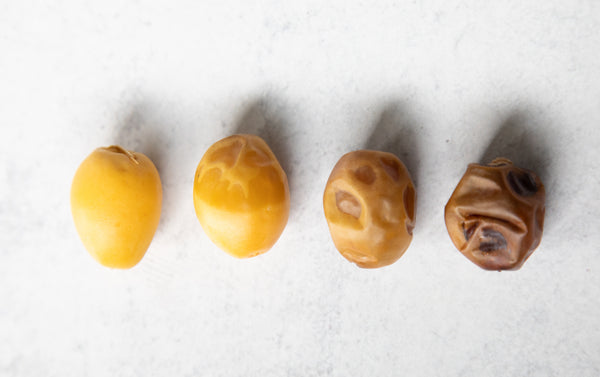 Yellow Barhi Date Stages