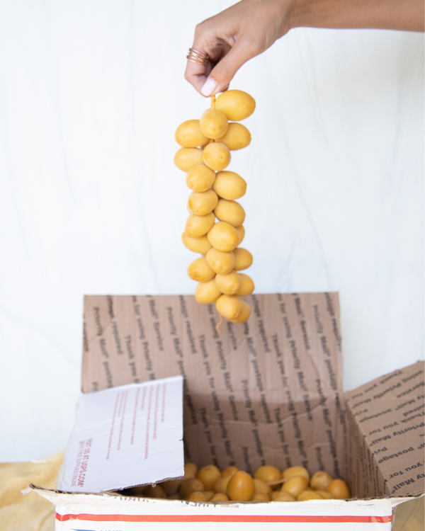 Exploring the Delicious World of Yellow Barhi Dates