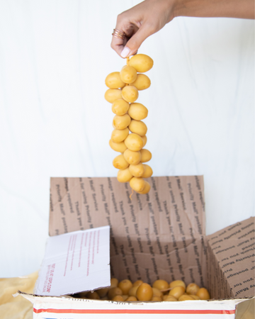 Exploring the Delicious World of Yellow Barhi Dates