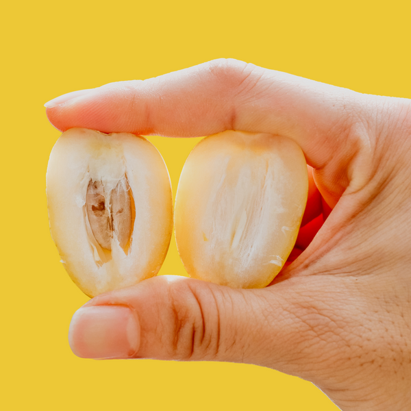 Yellow Barhi Date