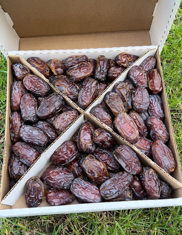 An image of medjool dates in a box on grass