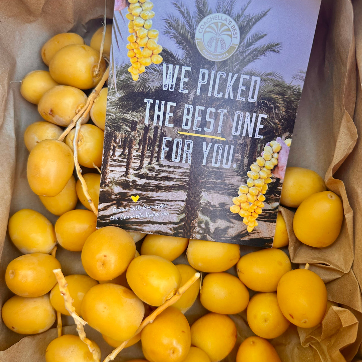 Why Choose Yellow Barhi Dates? 💛 – Coachella's Best Organic Dates