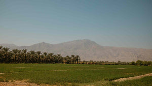 coachella valley