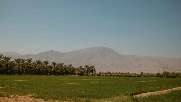 coachella valley