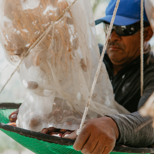 farm workers day