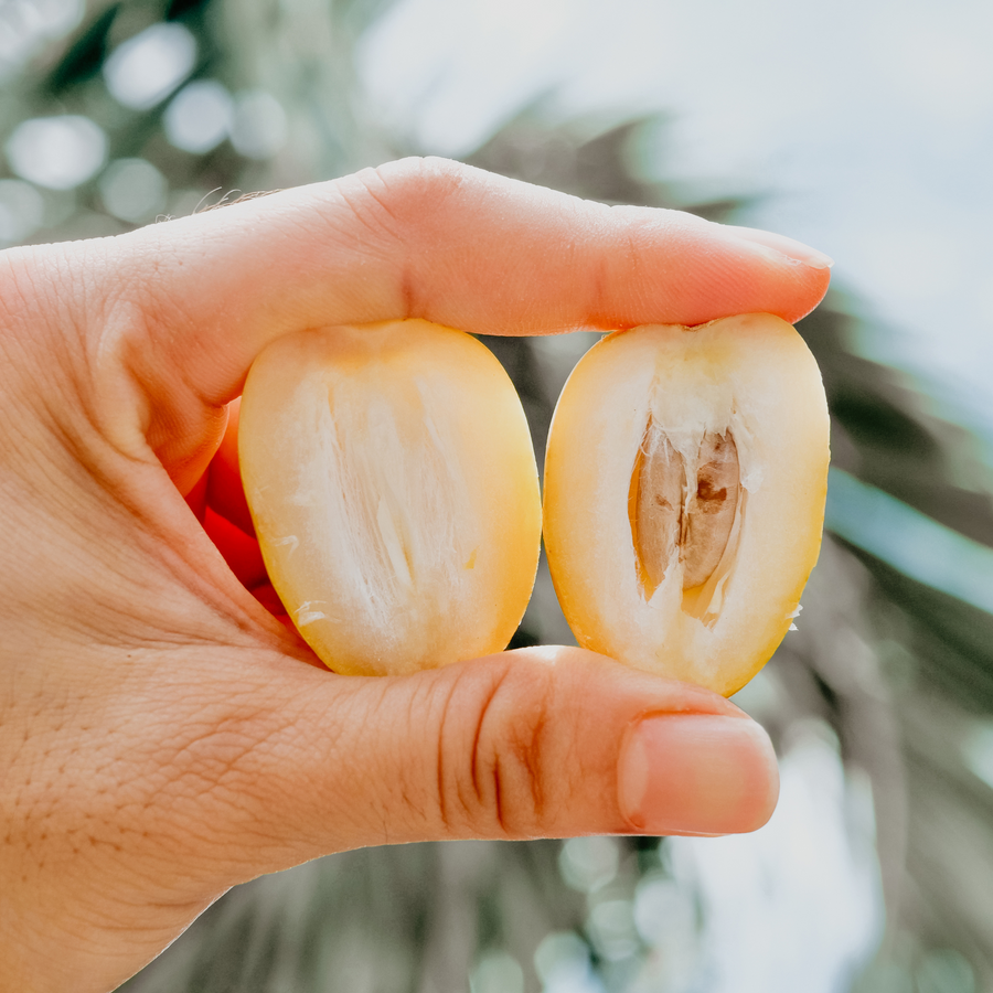 Organic Yellow Barhi Dates (Khalal Barhi Dates)