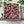 Organic Large Medjool Dates Box