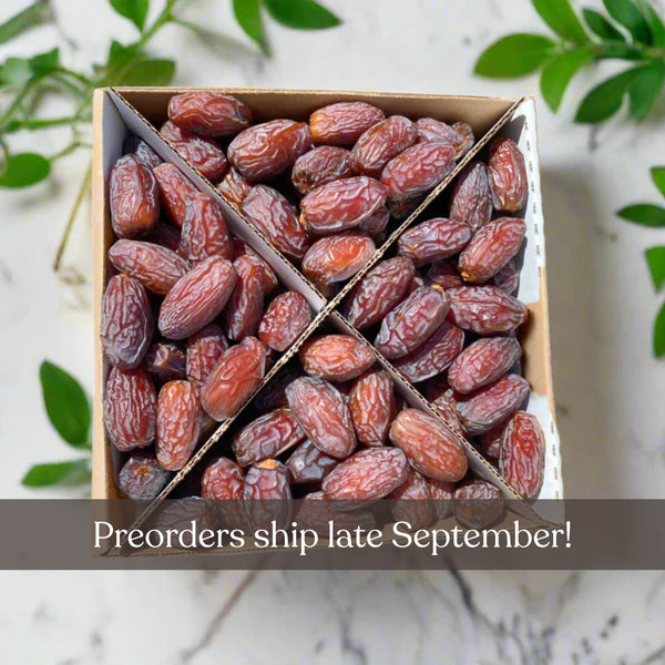 Organic Large Medjool Dates Box