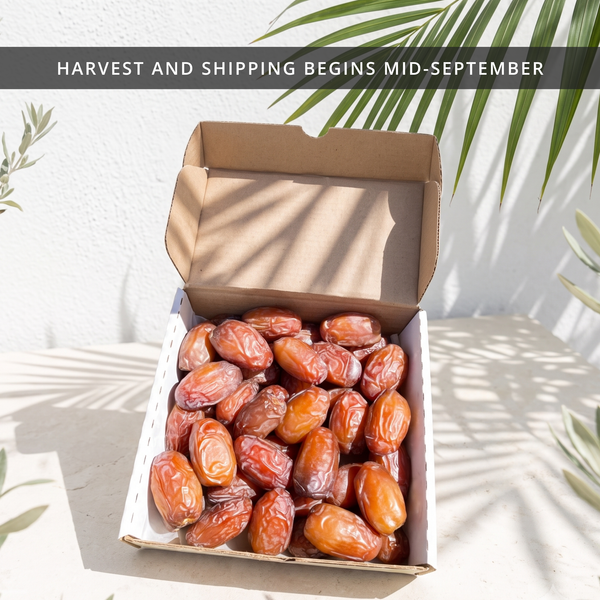 Organic Rutab Medjool Dates Box