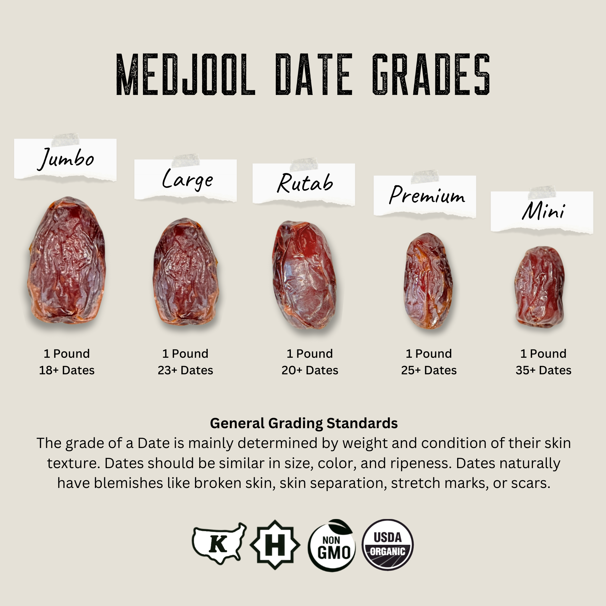 Majool Organic Premium Medjool Dates Box | Coachella's Best Dates