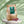 Organic Rutab Medjool Date Snack Packs