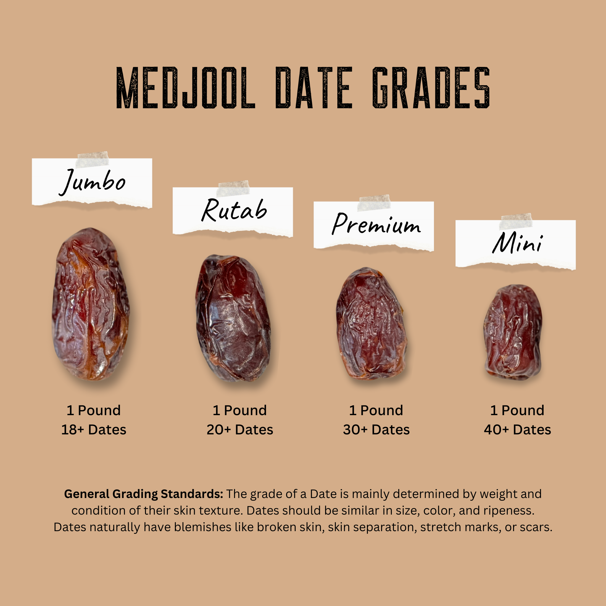 Organic Mini Medjool Dates Box | Coachella's Best Dates