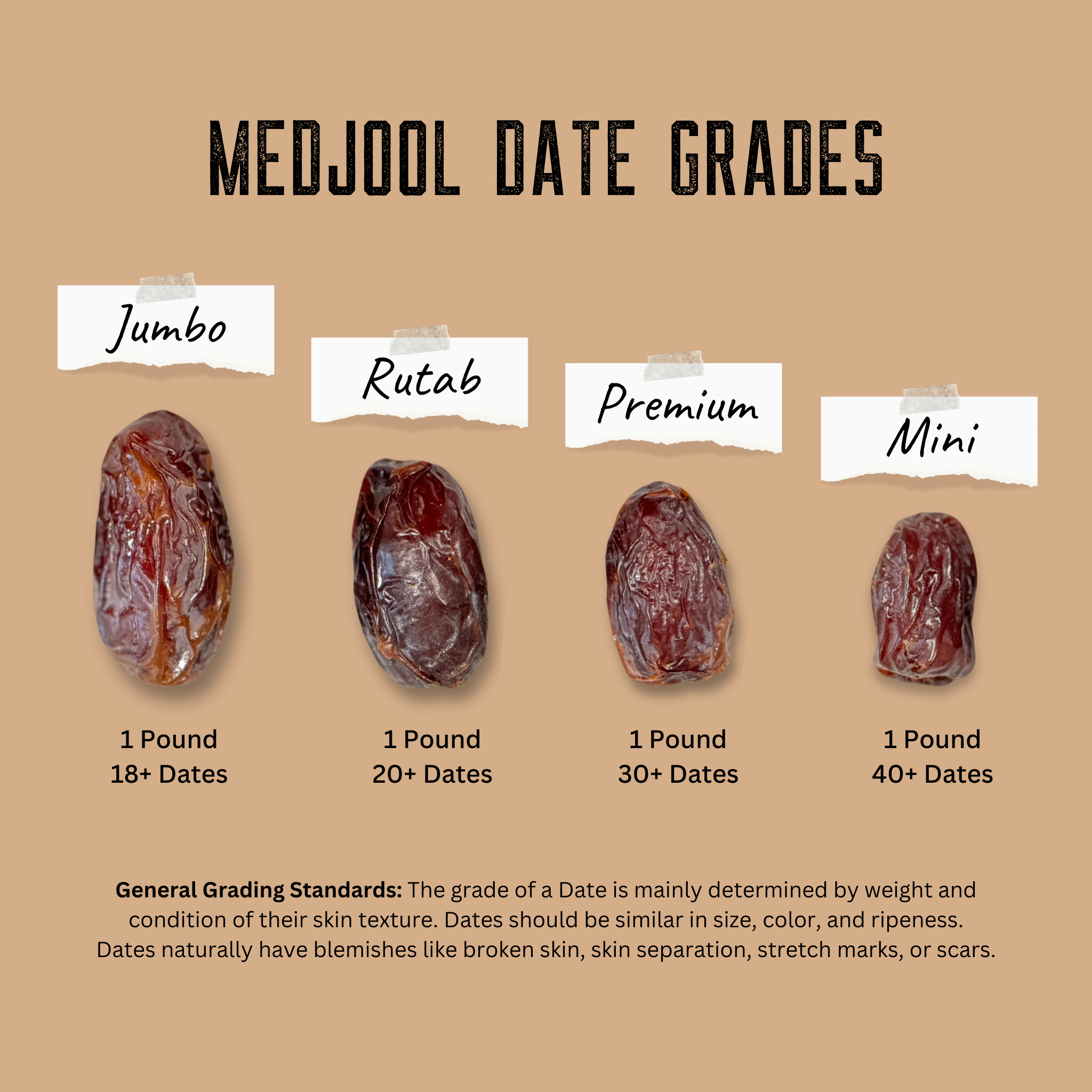 Medjool Raisin Organic Mini Medjool Date Snack Packs | Coachella's Best Dates ...