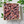 Organic Large Medjool Dates Box