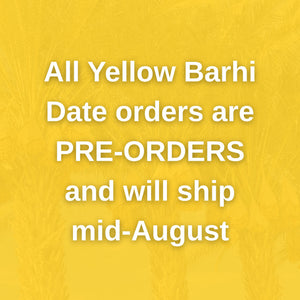 Organic Yellow Barhi Dates (Khalal Barhi Dates)