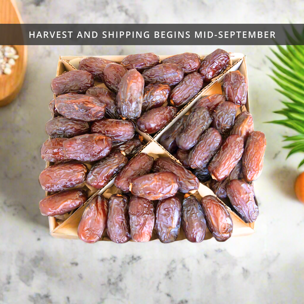Organic Jumbo Medjool Dates Box