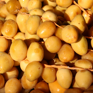 Organic Yellow Barhi Dates (Khalal Barhi Dates)