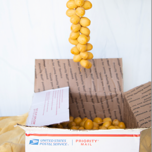 Organic Yellow Barhi Dates (Khalal Barhi Dates)