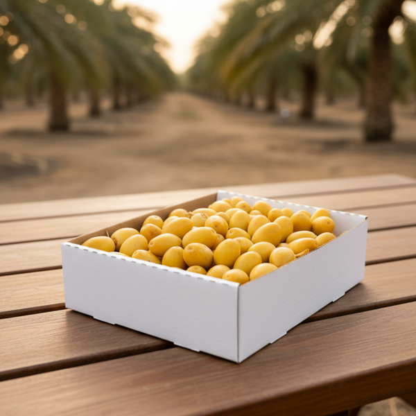 Organic Yellow Barhi Dates (Khalal Barhi Dates)