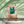 Organic Barhi Date Snack Packs