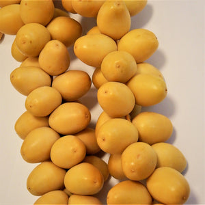 Organic Yellow Barhi Dates